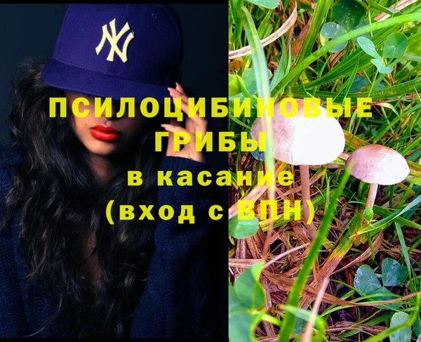 прущая мука Рославль