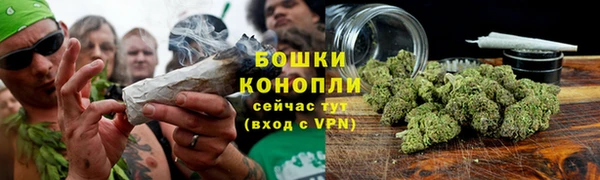 твердый Абаза