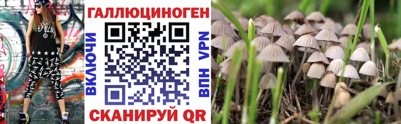 где найти   Алагир  Галлюциногенные грибы Cubensis 