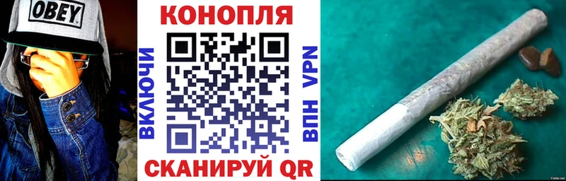 где найти наркотики  Алагир  дарк нет наркотические препараты  Конопля план 